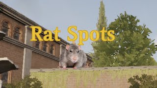 Rat Spots on Valley 🐁🤑 [upl. by Aeniah]