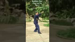 Choy Lee Fut Buddhas Palm Part 2 kungfu martialarts choyleefut [upl. by Sitnik]