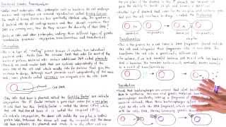 Conjugation Transformation and Transduction [upl. by Anyale]