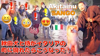 What happens when an Akita dog and a samurai walk through an Italian town♪ [upl. by Blayne]