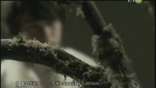 PV KOKIA  愛のメロディー アギト Special Edition [upl. by Faustus409]