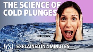 The Science Behind Cold Plunges Explained in Four Minutes [upl. by Zarihs]