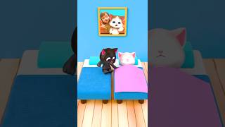 Which Kitty Gets The Blanket 🛏️🤣 funny shorts [upl. by Mayne]