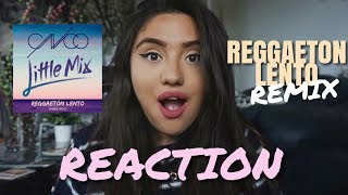 REGGAETON LENTO REMIX LITTLE MIX CNCO REACTION ♡ [upl. by Eerak]