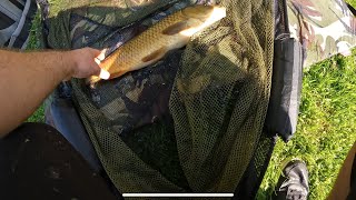 Epic Fail on the First Cast… Yet I Still Landed a Carp 🎣 fishing fish carp [upl. by Ariuqahs]