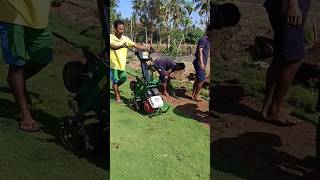 How to Setup Lawn Turfing For Home Garden in Tamil [upl. by Angadresma285]