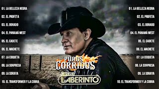 1 Hora De Puros Corridos De Caballos De Grupo Laberinto  Corridos Exitos Mix Lo Mejor de Lo Mejor [upl. by Holzman]