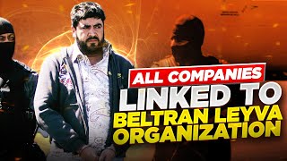 The Rise and Fall of the Beltran Leyva Cartel  All that were linked to organization [upl. by Nahgen980]