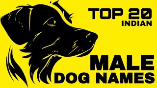 20 Most Popular Male Dog Names in India । Top Male Dog Names । Pets Vlogger [upl. by Ettevy946]