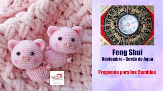 Feng Shui Noviembre  Preparate para lo que Viene  Predicciones y Ajustes🐖 [upl. by Lyndes535]