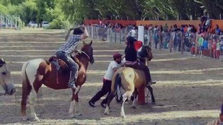 Jineteadas Chile Chico 2015 Semana Tradiciones [upl. by Lemmueu132]