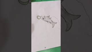 How to Draw Seal  Seal Drawing for Kids [upl. by Bromleigh]