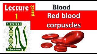 1bHistology of red blood corpuscles [upl. by Tiernan]