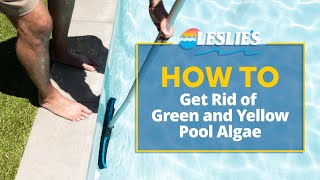 How to Get Rid of Green amp Yellow Pool Algae  Leslies [upl. by Idak]