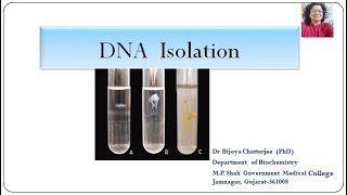 DNA Isolation [upl. by Onstad]