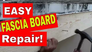 ROOF FASCIA BOARD  How to Repair or Replace Rotten Wood in a Few Easy Steps [upl. by Youlton]