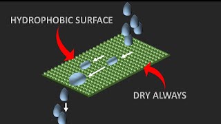 Science behind Hydrophobic technologies  The lotus effect [upl. by Harriman]