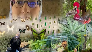 5 خريجة معنا ل le jardin botanique et l’insectarium لي في مونتريال، هادشي زوين بزاف [upl. by Iphigenia]