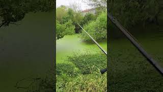 Fish catching with fishing rod reel fishing [upl. by Boice]