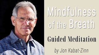 Mindfulness of the Breath Guided Meditation Practices MBSR by Jon Kabat Zinn [upl. by Allehc881]