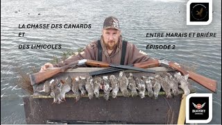 LA CHASSE DES CANARDS ET DES LIMICOLES ENTRE MARAIS ET BRIÉRE PARTIE 2 [upl. by Toth313]