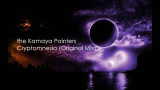 the Kamaya Painters  Cryptomnesia Original Mix [upl. by Ainod]