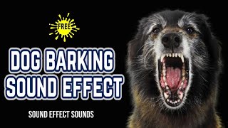 DOG BARKING  Dog Sound Effect [upl. by Abibah]