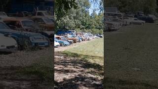 BARN FINDS  Junkyard Full of Old PontiacsFord CamarosMustangsCadillacs and More automobile [upl. by Suravart]