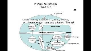 Apraxia Part 3 Conceptional Ideational and Construction Apraxia [upl. by Avik]