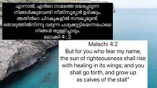 DAY 114 OF SWARGEEYA MANNAMALACHI 42HEAVENLYMANNAMATHACHAN VARGHESE [upl. by Nutter]