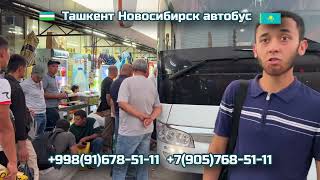 21 ТашкентНовосибирск автобус  НовосибирскТашкент автобус  ToshkentNovosibirsk [upl. by Alyaj]