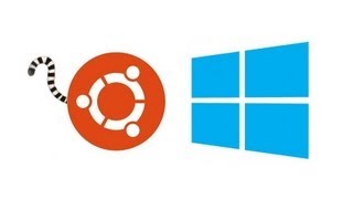 Dual Boot Ubuntu 1304 Raring Ringtail and Windows 8 [upl. by Oiramaj435]