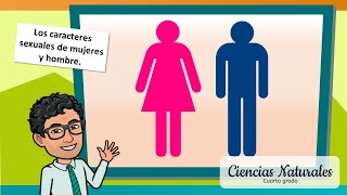 Caracteres Sexuales de Mujeres y Hombres  CIENCIAS  ✨CUARTO GRADO✨ [upl. by Nawyt]