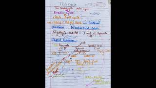 Energetics and Regulation of Glycolysis and TCA cycle [upl. by Derfiniw]