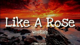 A1  Like A Rose Lyrics [upl. by Fesuoy]