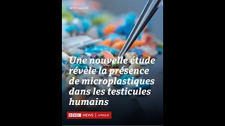 Reproduction  Une nouvelle étude révèle la présence de microplastiques dans les testicules humains [upl. by Juley552]