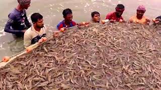 Seamark BD Vannamei Shrimp Project in Coxs Bazar Bangladesh [upl. by Ihcas]