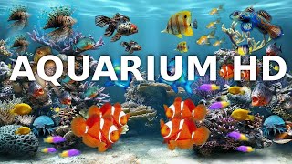 Entspannungsmusik Aquarium  Unterwasserwelt Musik zum Einschlafen und Meditieren  3h Full HD [upl. by Azaleah]