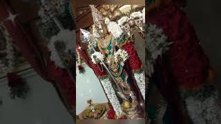 திருப்புகழ்murugan songs trending shorts devotionalsongs RMCreation22723 [upl. by Illah562]