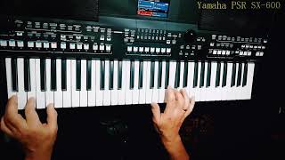 James Last  The Lonely Shepherd  Одинокий пастух cover Yamaha PSR SX600 [upl. by Whorton]