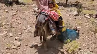 Pernias donkey ride caused Fahima to fall down [upl. by Nabal]