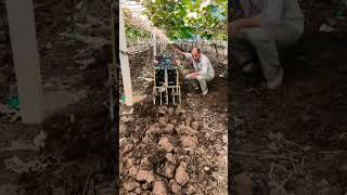 Fertilizing and tilling the soil in the vineyard is effective agriculturalmachinery grapeplanting [upl. by Coco]