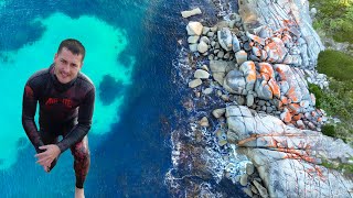 Spearfishing Tasmania Abalone Diving  Sea Urchin Catch and cook 4K [upl. by Nylrem816]