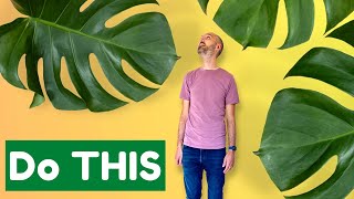 The Secret to GIANT Houseplant Leaves [upl. by Arramat]