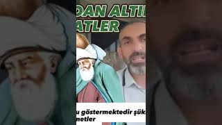 Allah Dostlarından Nasihatler kişisel gelişim videosuHayat nasihatleri [upl. by Asirram]