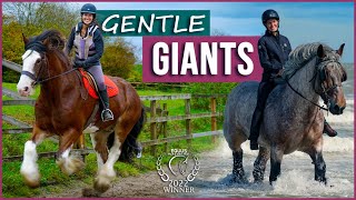 Gentle Giants  AwardWinning Film  Meet Amazing Draft Horses [upl. by Anevad]