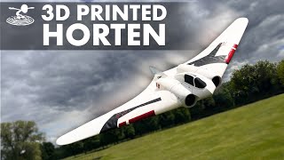 Will This 3D Printed Horten Fly [upl. by Skillern]