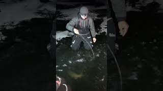 Early Ice Fishing Northern Wisconsin Walleyes walleye fishing walleyefishing icefishing [upl. by Ailyt]