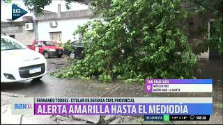 Daños por la tormenta Defensa Civil de la provincia trabaja en liberar las zonas con árboles caídos [upl. by Inek]