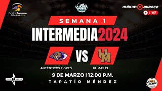 EN VIVO AUTÉNTICOS UANL VS PUMAS CU  INTERMEDIA 2024  SEMANA 1  ONEFA [upl. by Ahsikad]